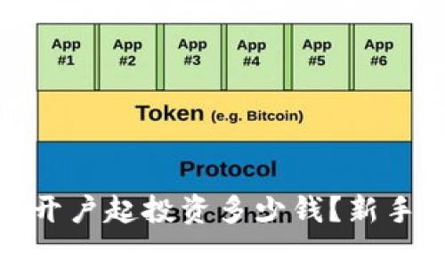 : 泰达币开户起投资多少钱？新手投资指南