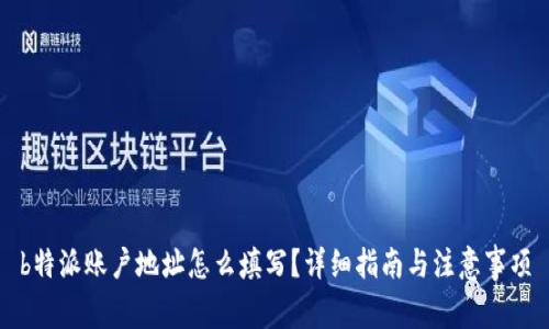 b特派账户地址怎么填写？详细指南与注意事项