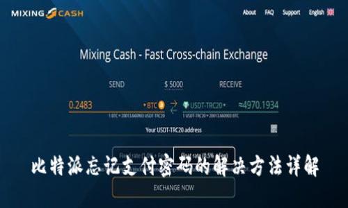 比特派忘记支付密码的解决方法详解