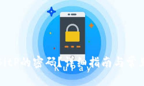 如何找回BitP的密码？详细指南与常见问题解答