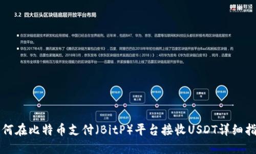 如何在比特币支付（BitP）平台接收USDT详细指南