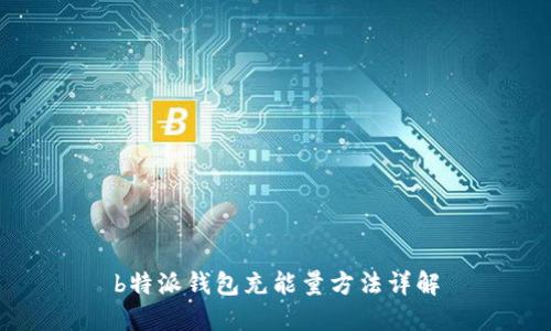 b特派钱包充能量方法详解