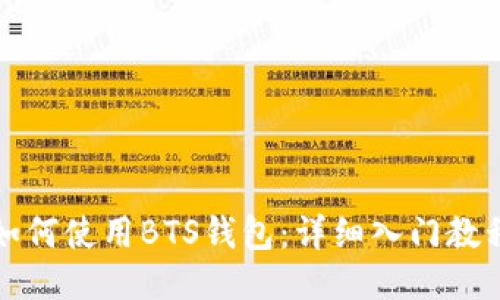 如何使用BTS钱包：详细入门教程