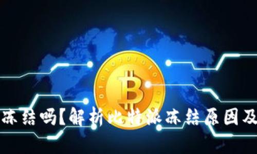 比特派会冻结吗？解析比特派冻结原因及解决方案