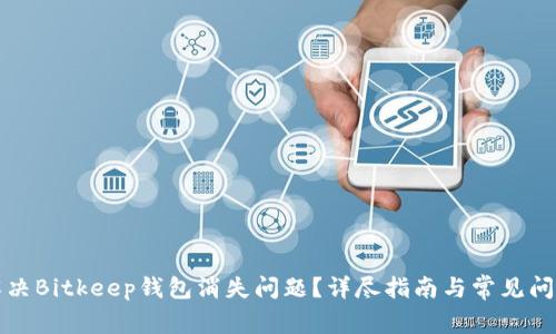 如何解决Bitkeep钱包消失问题？详尽指南与常见问题解答