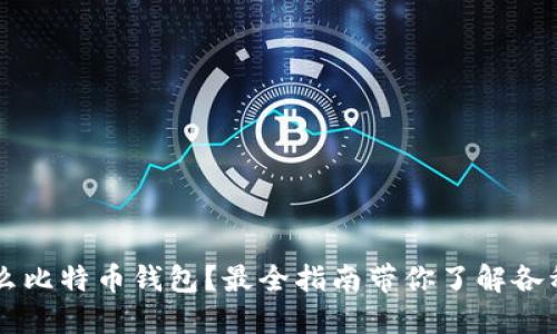 国内用什么比特币钱包？最全指南带你了解各种钱包类型