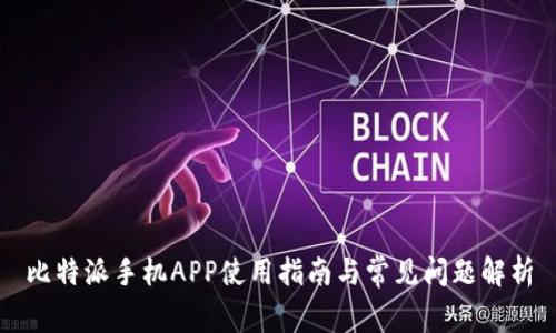 比特派手机APP使用指南与常见问题解析