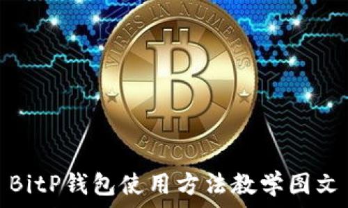  
BitP钱包使用方法教学图文