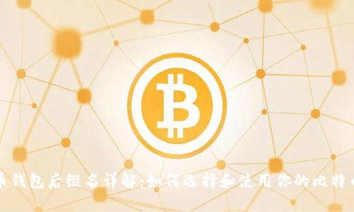 比特币钱包后缀名详解：如何选择和使用你的比特币钱包
