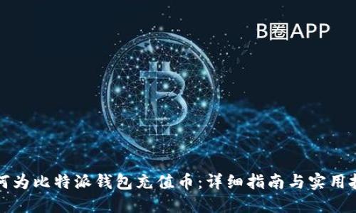 如何为比特派钱包充值币：详细指南与实用技巧