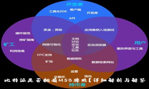 比特派是否拥有MSB牌照？详细解析与解答