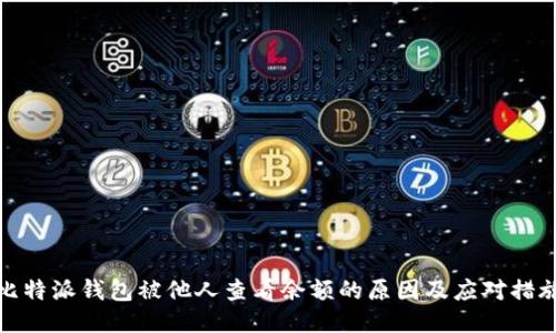比特派钱包被他人查看余额的原因及应对措施