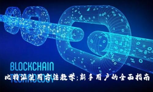 比特派使用方法教学：新手用户的全面指南