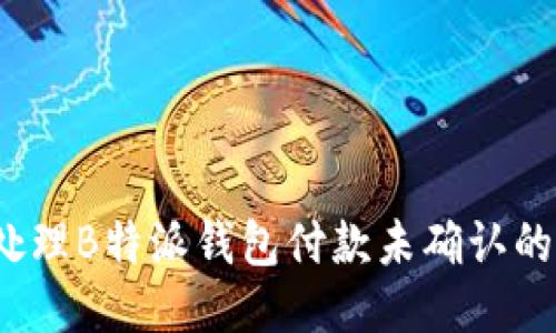 如何处理B特派钱包付款未确认的问题？