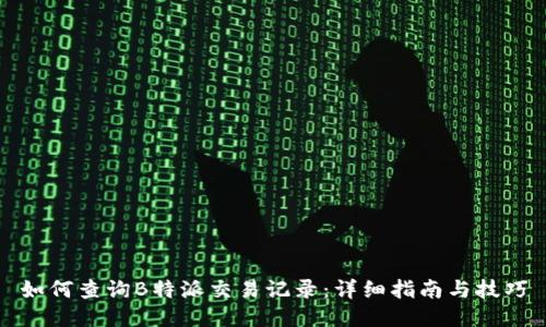 如何查询B特派交易记录：详细指南与技巧