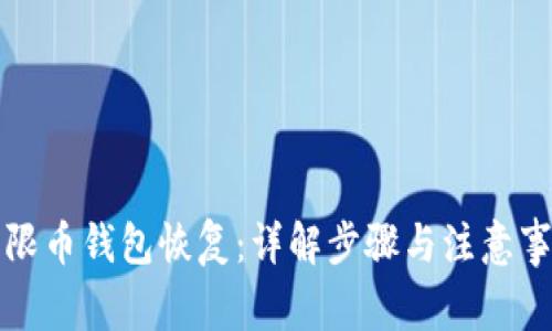 无限币钱包恢复：详解步骤与注意事项