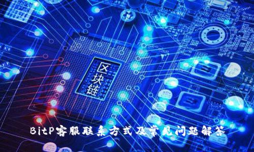 BitP客服联系方式及常见问题解答