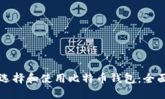 如何选择和使用比特币钱包：全面指南