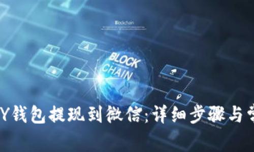 如何将CGPAY钱包提现到微信：详细步骤与常见问题解答
