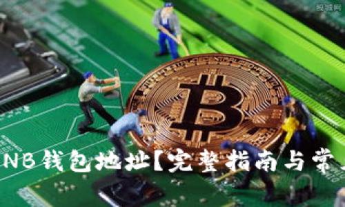 如何查看BNB钱包地址？完整指南与常见问题解答