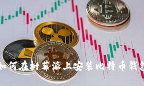 如何在树莓派上安装比特币钱包