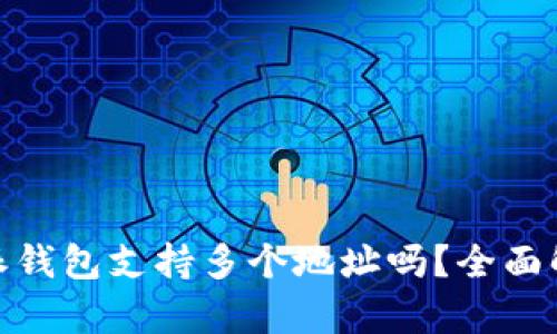bimiaoti比特派钱包支持多个地址吗？全面解析及使用技巧