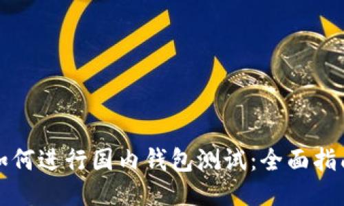 如何进行国内钱包测试：全面指南