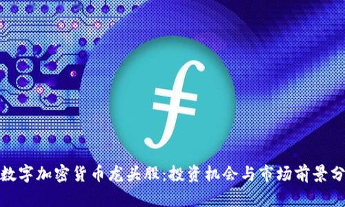 : 数字加密货币龙头股：投资机会与市场前景分析