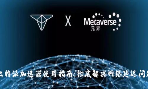 比特派加速器使用指南：彻底解决网络延迟问题