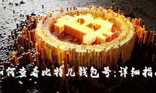 如何查看比特儿钱包号：详细指南