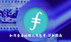 如何查看比特儿钱包号：详细指南