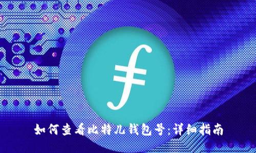 如何查看比特儿钱包号：详细指南