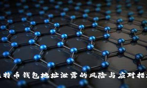比特币钱包地址泄露的风险与应对措施