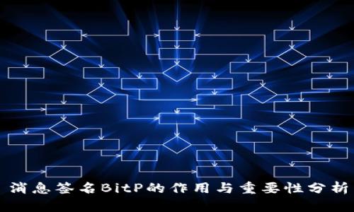 消息签名BitP的作用与重要性分析