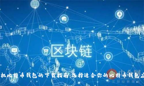 手机比特币钱包的下载指南：选择适合你的比特币钱包应用