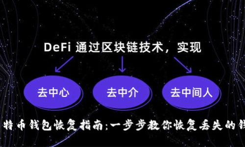 Win7莱特币钱包恢复指南：一步步教你恢复丢失的钱包文件