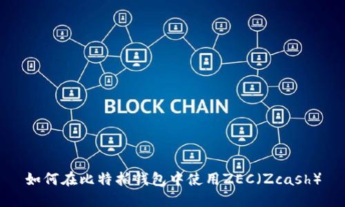 如何在比特拍钱包中使用ZEC（Zcash）