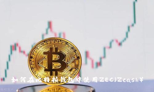 如何在比特拍钱包中使用ZEC（Zcash）