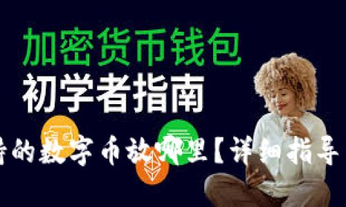 钱包不支持的数字币放哪里？详细指导与解决方案