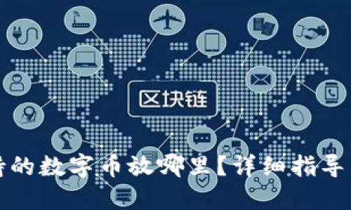 钱包不支持的数字币放哪里？详细指导与解决方案