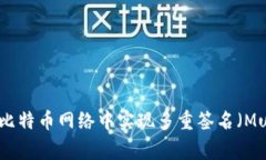 如何在比特币网络中实现多重签名（Multisig）