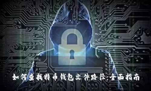 如何查找特币钱包文件路径：全面指南