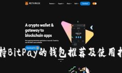 支持BitPay的钱包推荐及使用指南