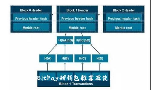 支持BitPay的钱包推荐及使用指南