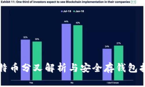 比特币分叉解析与安全存钱包指南