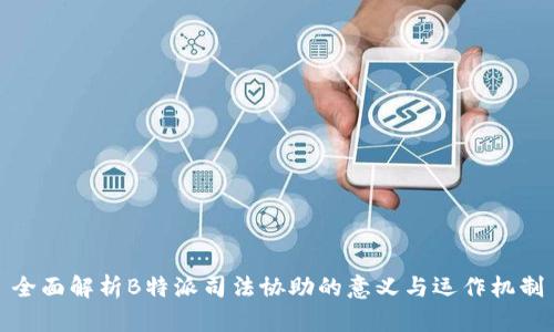 全面解析B特派司法协助的意义与运作机制