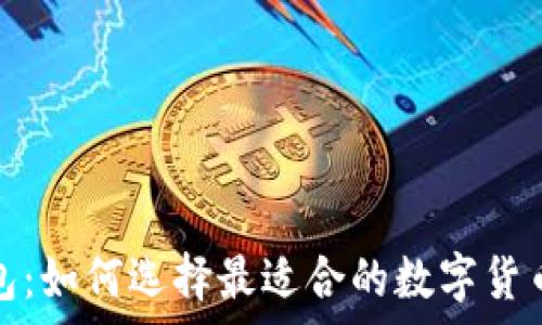  
狗狗币钱包：如何选择最适合的数字货币存储工具