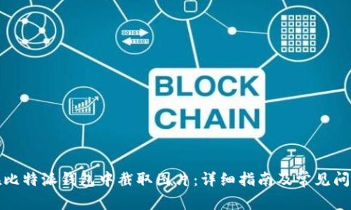 如何在比特派钱包中截取图片：详细指南及常见问题解答