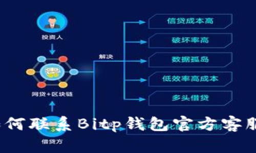 如何联系Bitp钱包官方客服？