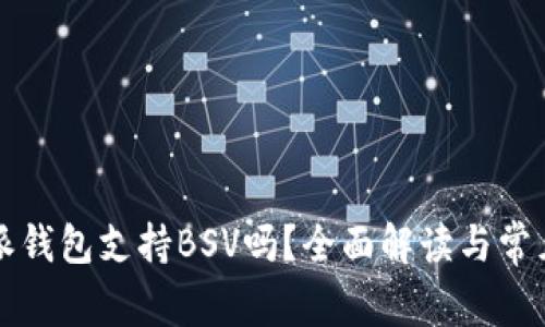 比特派钱包支持BSV吗？全面解读与常见问题